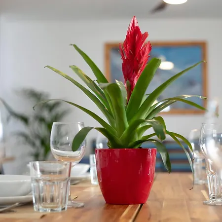 Lägenhet House Lajita